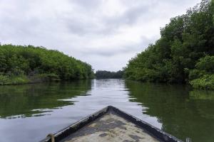 Santuario Nacional Los Manglares de Tumbes
